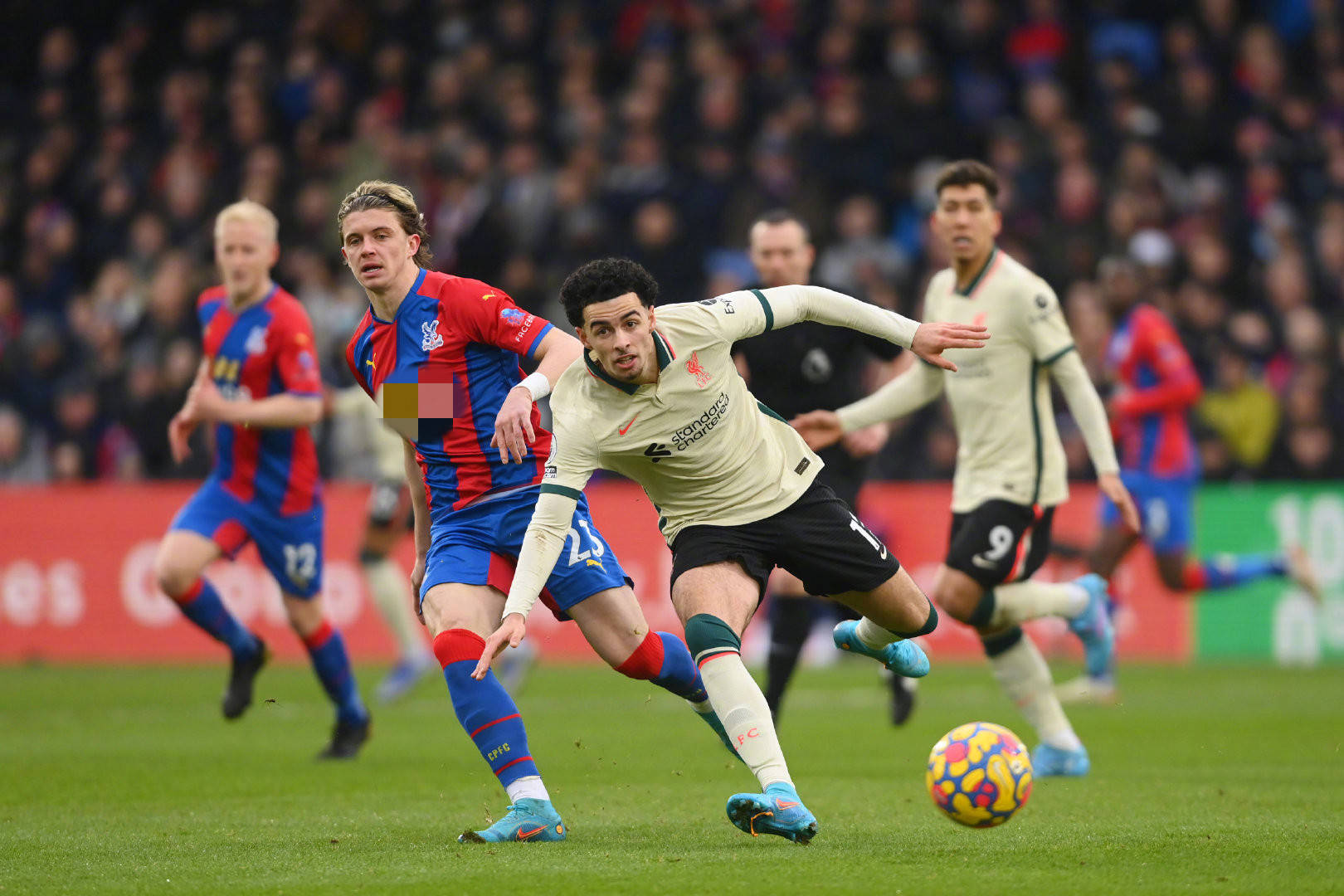 在周继红的 在周继红的